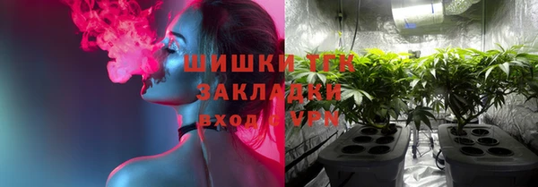 скорость Ладушкин