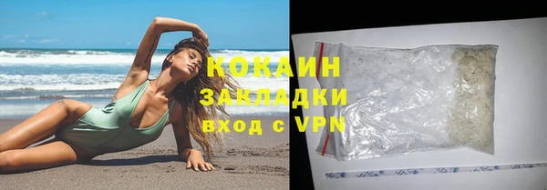 шишки Лабытнанги