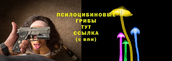 PSILOCYBIN Арсеньев