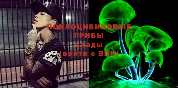 гашик Липки