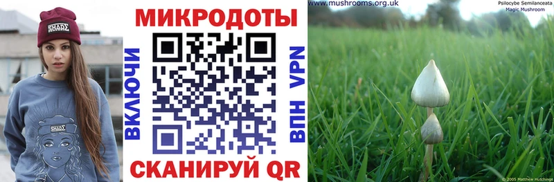 Галлюциногенные грибы Psilocybine cubensis  MEGA рабочий сайт  Каменск-Уральский  купить  