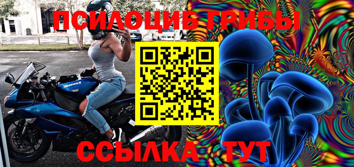 Галлюциногенные грибы прущие грибы Каменск-Уральский
