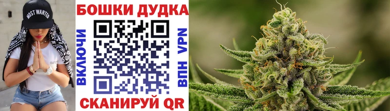 Конопля конопля Каменск-Уральский